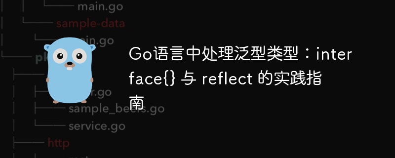 Go语言中处理泛型类型:interface{} 与 reflect 的实践指南