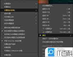 PotPlayer如何实现同步字幕