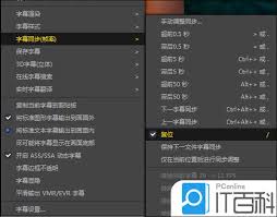 PotPlayer同步字幕全攻略