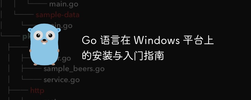 Go语言Windows安装指南与入门教程