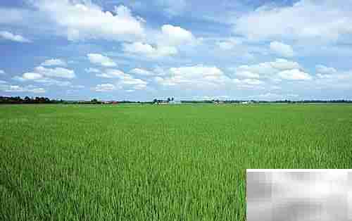 5个风光摄影实用技巧