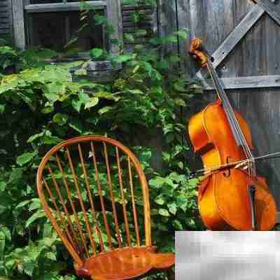 音乐家的养成之路