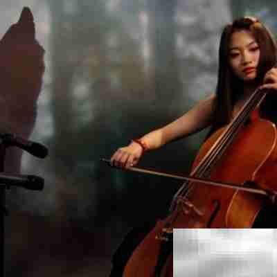 音乐家的养成之路