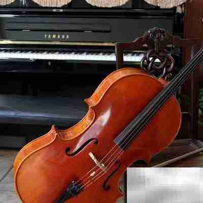 音乐家的养成之路