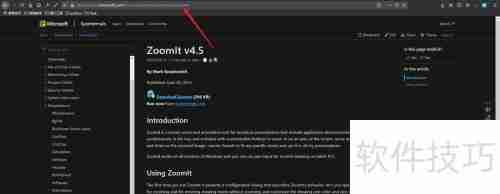 ZommIt下载使用指南