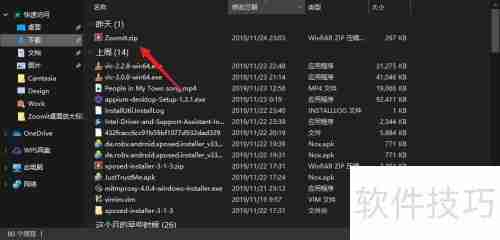ZommIt下载使用指南