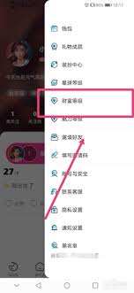 赫兹app财富等级怎么开启？
