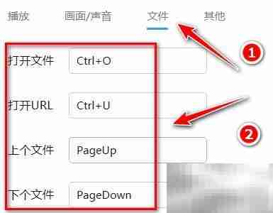 迅雷影音热键设置指南