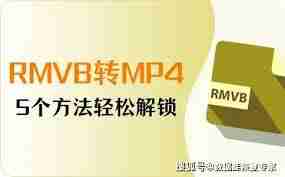 如何将RM转换成MP4格式