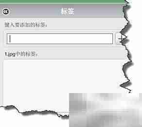 Picasa图片标记搜索技巧