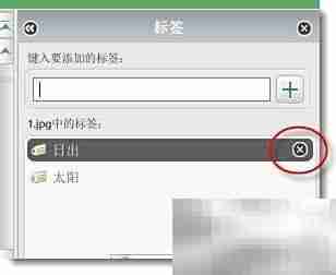 Picasa图片标记搜索技巧
