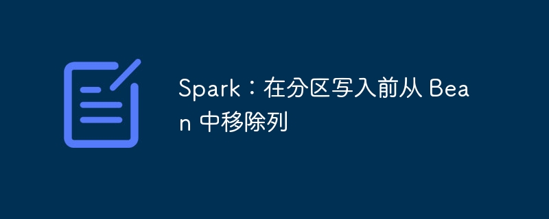 Spark：在分区写入前从 Bean 中移除列