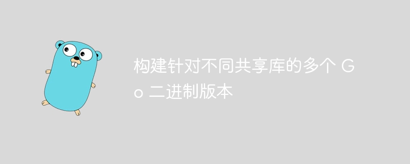 构建针对不同共享库的多个 Go 二进制版本