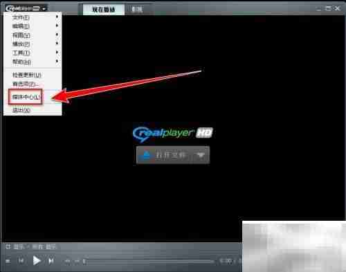 RealPlayer视频评星方法