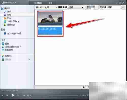 RealPlayer视频评星方法