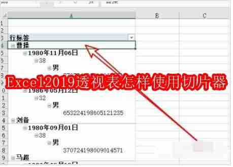 Excel2019透视表怎样使用切片器