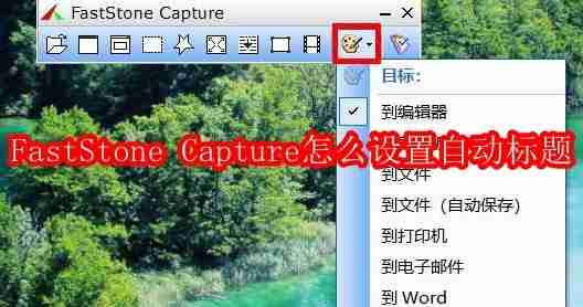 FastStone Capture怎么设置自动标题