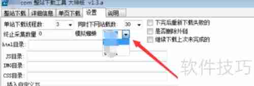 设置整站下载器避错技巧