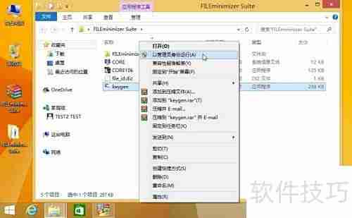 完美安装FILEminimizer指南