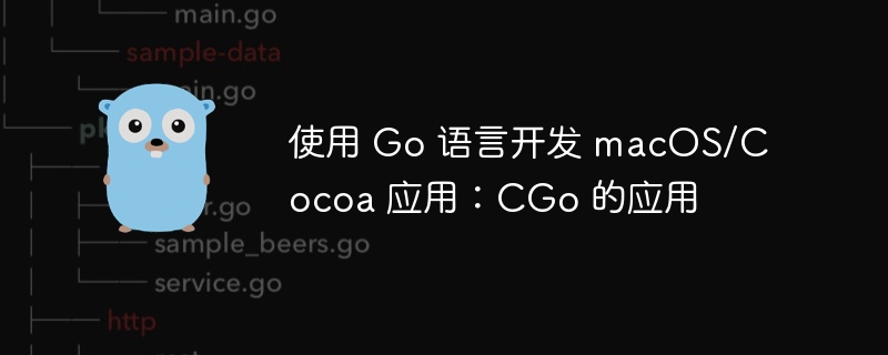 使用 Go 语言开发 macOS/Cocoa 应用：CGo 的应用