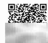 手机病毒查杀与防御指南