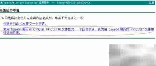 Web服务器证书申请指南
