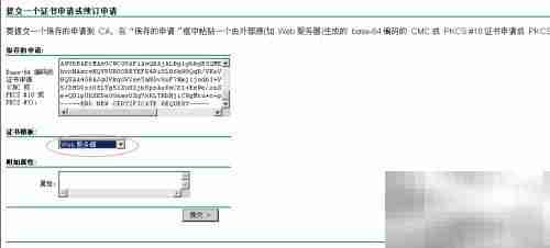 Web服务器证书申请指南