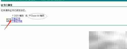 Web服务器证书申请指南