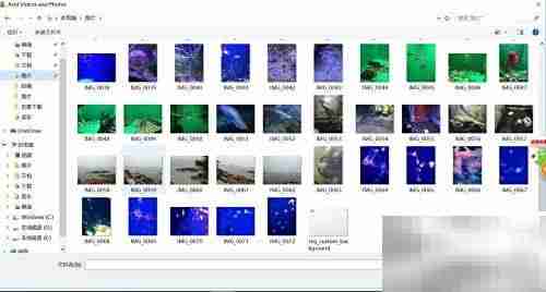 用Movie Maker制作小电影