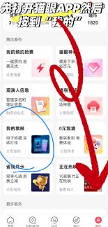 猫眼票夹怎么找？全网位置汇总