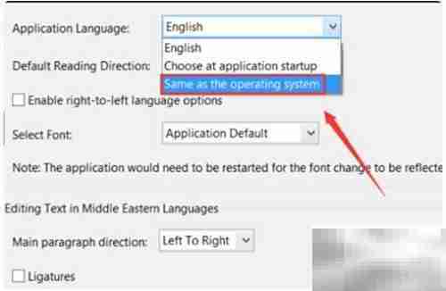 Adobe Reader中文设置教程