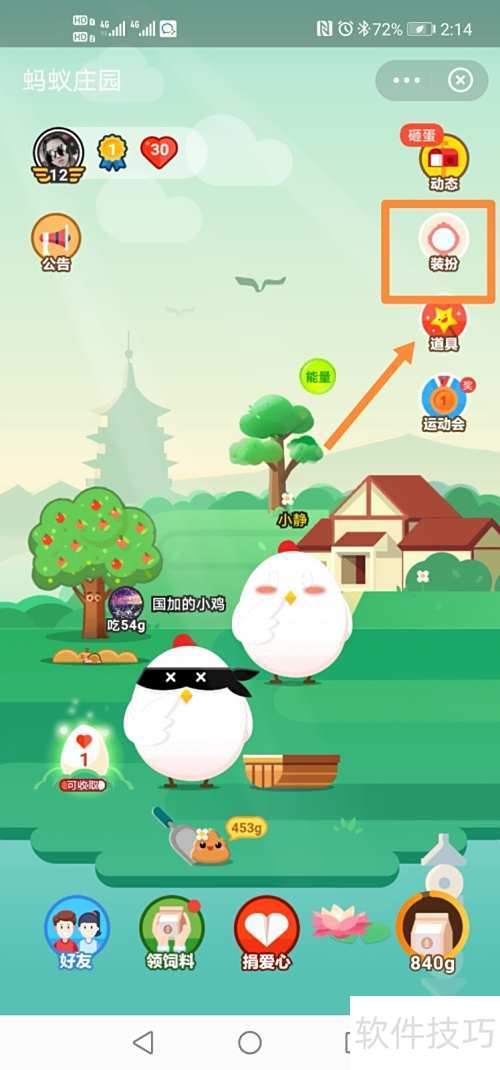 小鸡星秀搭配技巧全解析