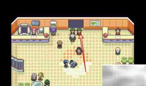 如何查看Pokemmo天王队伍