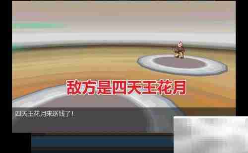 如何查看Pokemmo天王队伍