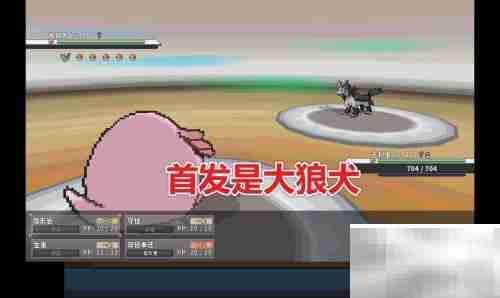 如何查看Pokemmo天王队伍