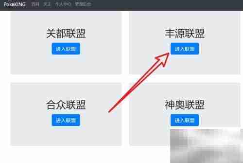 如何查看Pokemmo天王队伍
