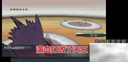 如何查看Pokemmo天王队伍