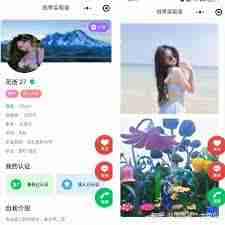 foru交友软件怎么样