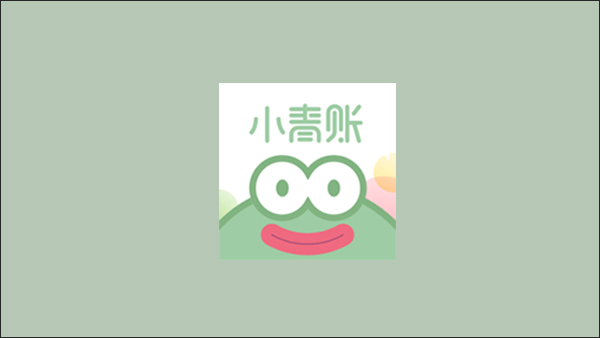 小青账隐藏账本怎么用