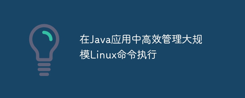 Java高效执行Linux命令实用教程