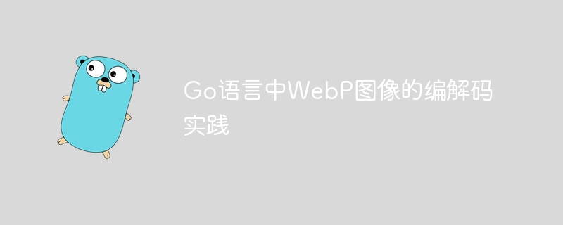 Go语言中WebP图像的编解码实践
