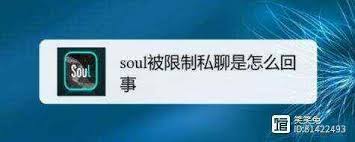 Soul账号异常登录解决方法大全