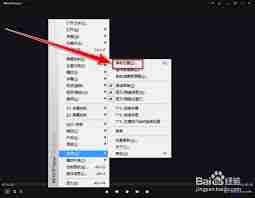 kmplayer plus如何导入字幕