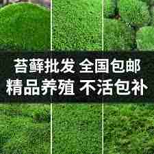 天猫超市半日达入口在哪