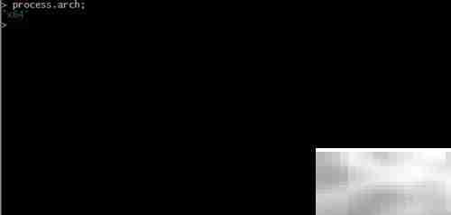 Node.js进程信息查看指南