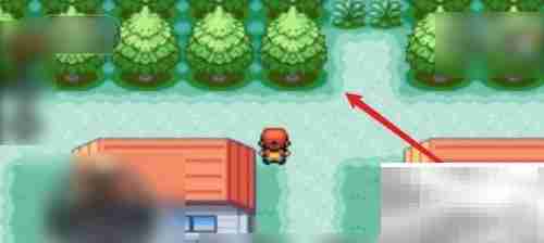 火红版梦幻捕捉位置指南