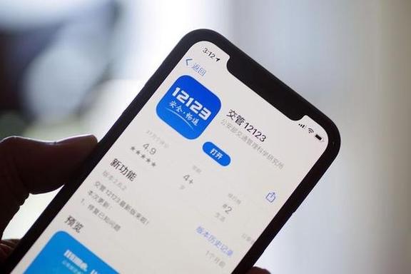 交管12123查车环保信息步骤