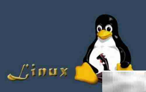 Linux系统简介