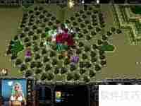 魔兽争霸3冰封王座秘籍