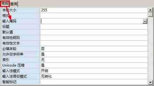 access单元格如何设置输入掩码格式